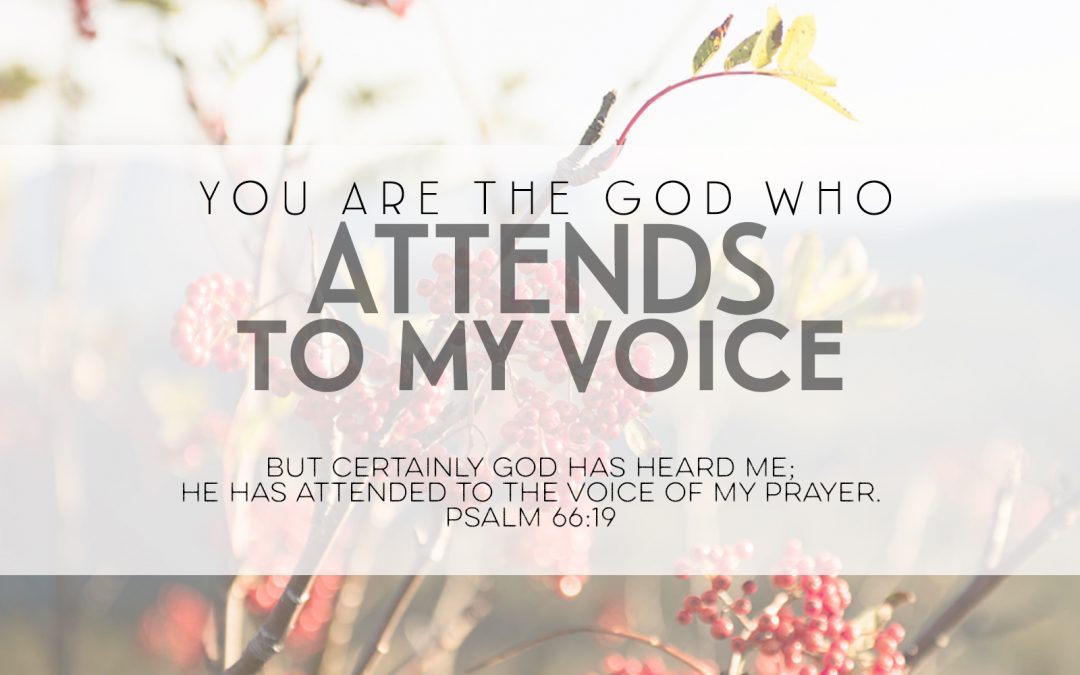 You Are The God Who Attends To My Voice
