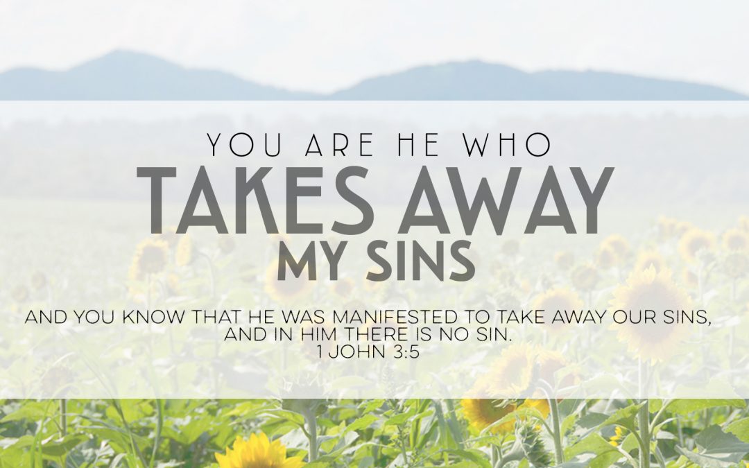 You Are He Who Takes Away My Sins