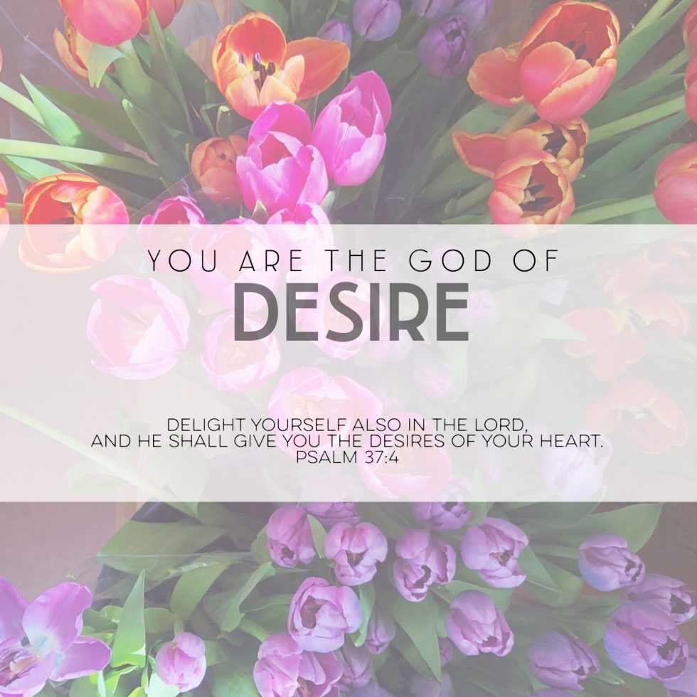 You Are the God of Desire | Sara Hagerty