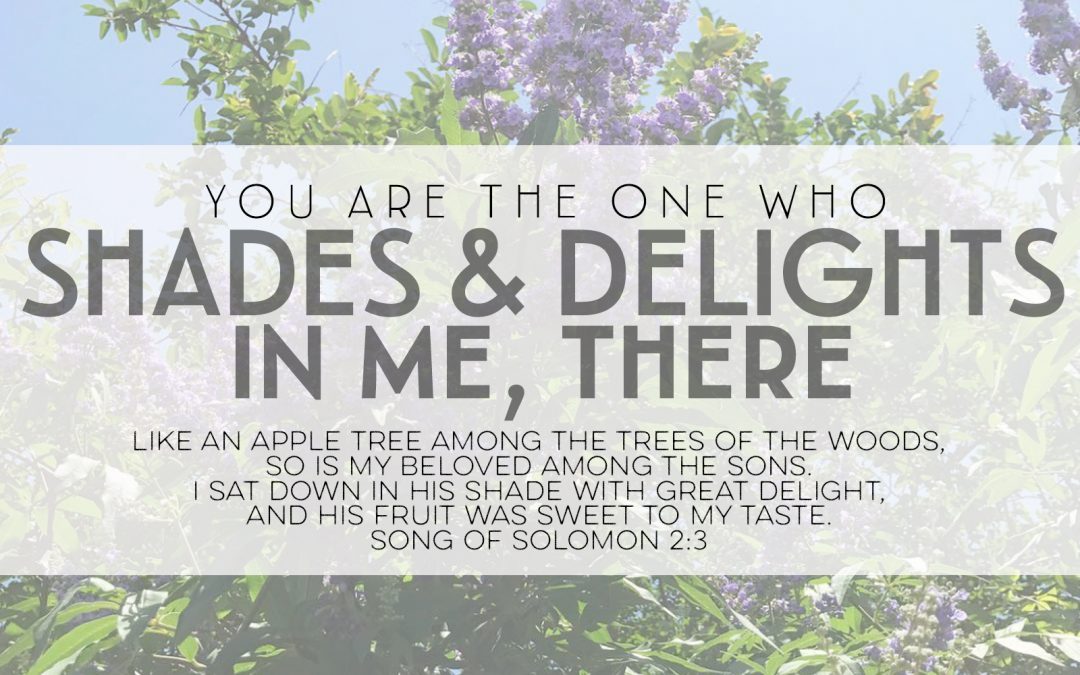You Are the One Who Shades & Delights in Me, There