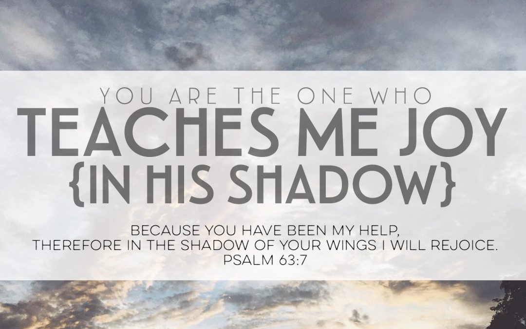You Are The One Who Teaches Me Joy {In His Shadow}