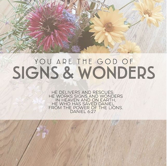 You Are the God of Signs & Wonders
