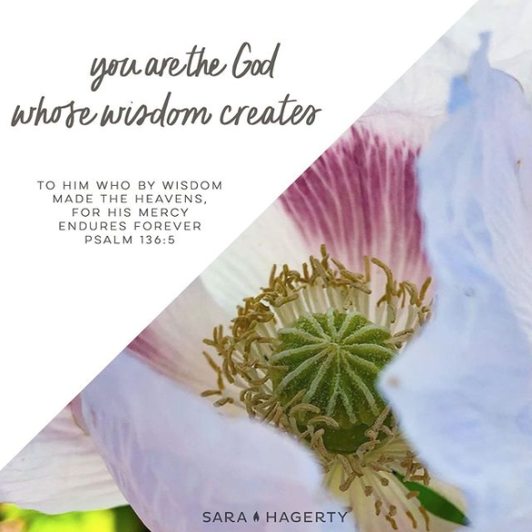 You are the God Whose Wisdom Creates