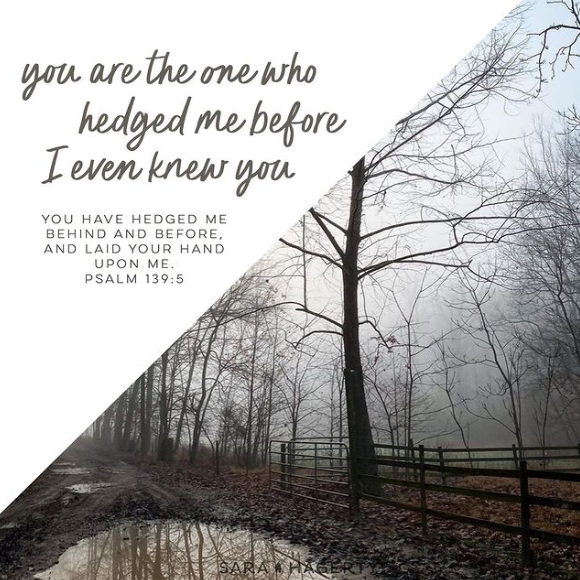 You are the One Who Hedged Me Before I Even Knew You