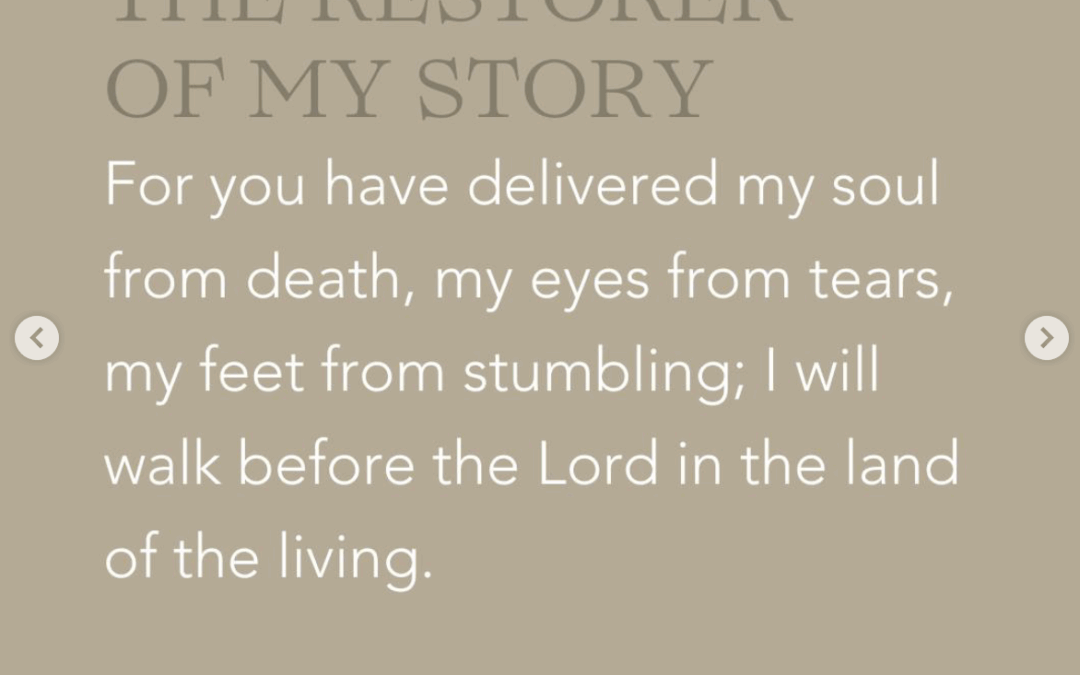 The Restorer of My Story