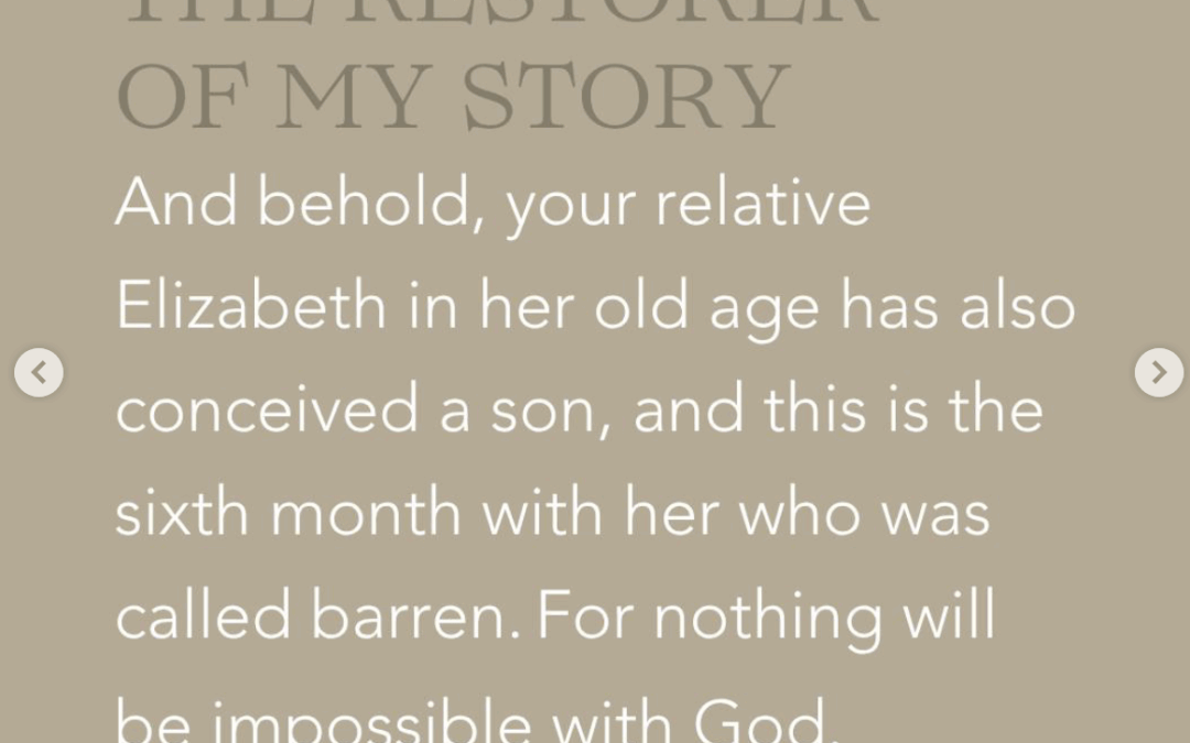 The Restorer of My Story