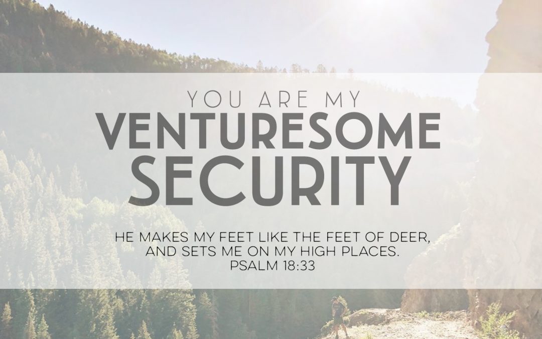 You Are My Venturesome Security
