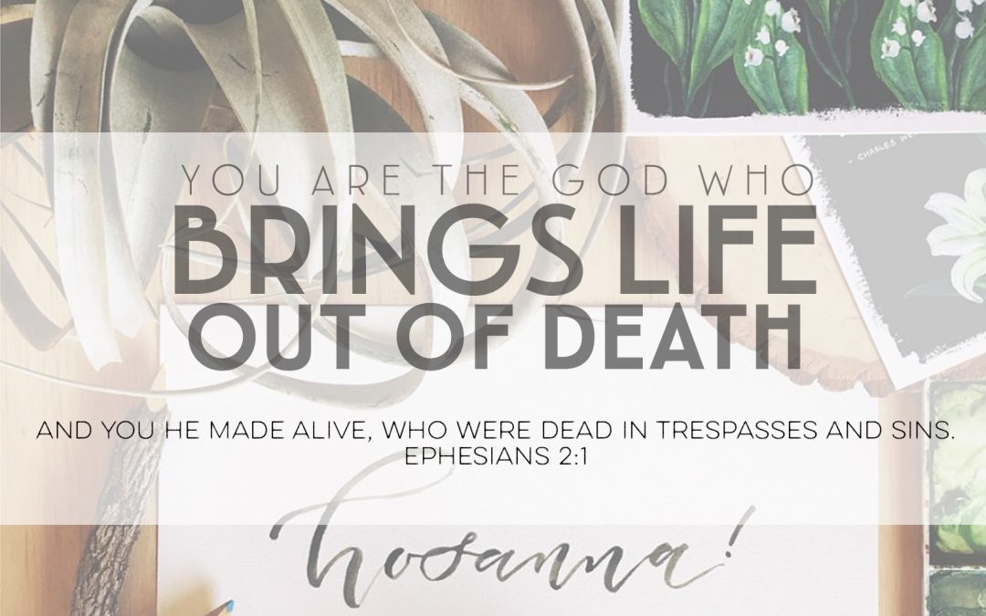 You Are The God Who Brings Life Out Of Death